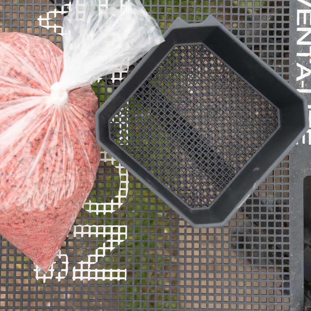 MAGGOT RIDDLE 2PT (P0260016) 