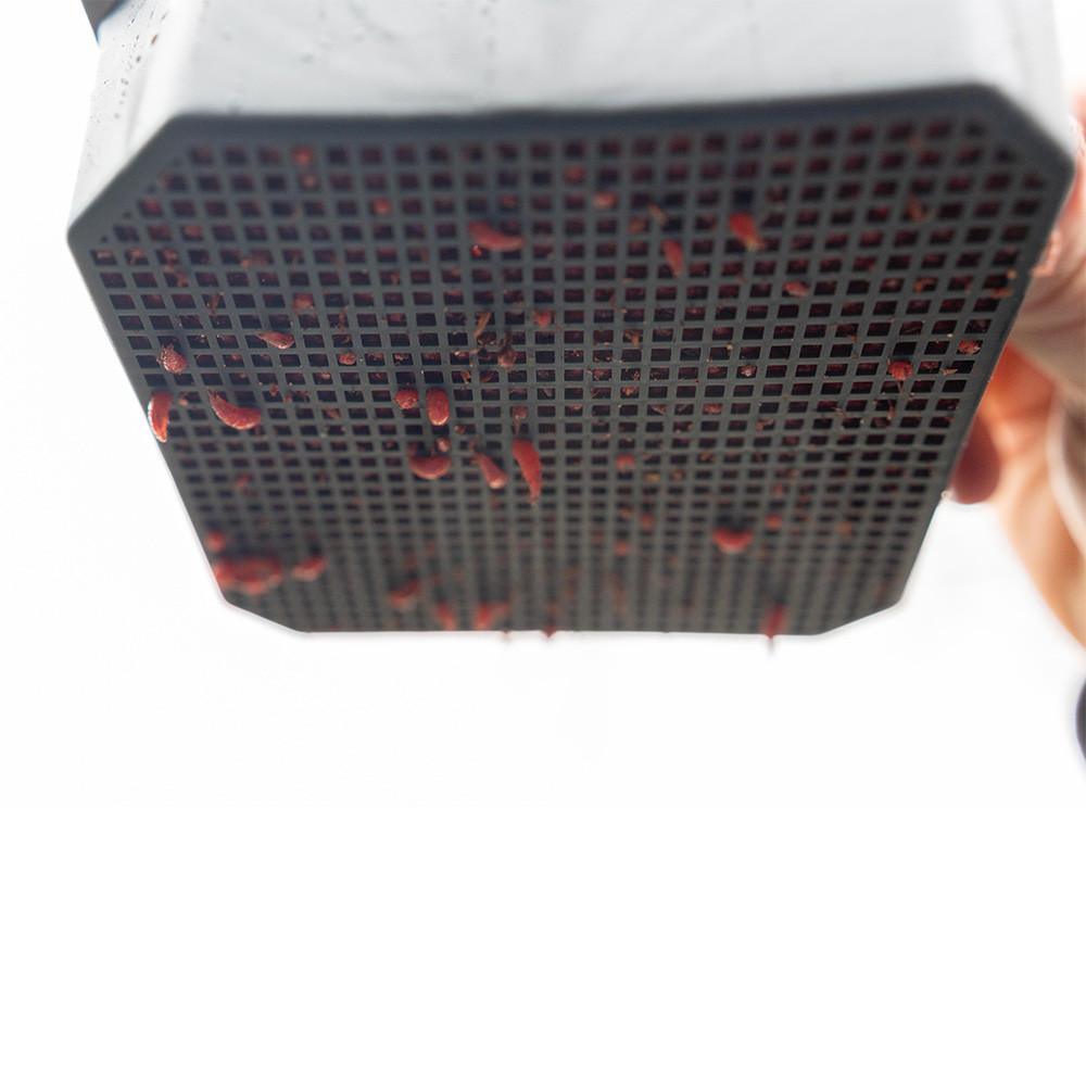 MAGGOT RIDDLE 2PT (P0260016) 